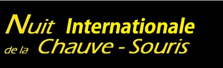 nuit de la chauve-souris